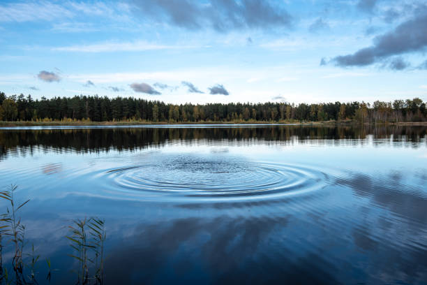 istock calm lake in bright sun light with reflections of clouds and trees and blue sky 1134851116