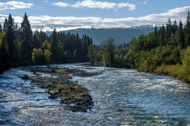 istock fast mountain rocky river in forest with waterfall 1134851263