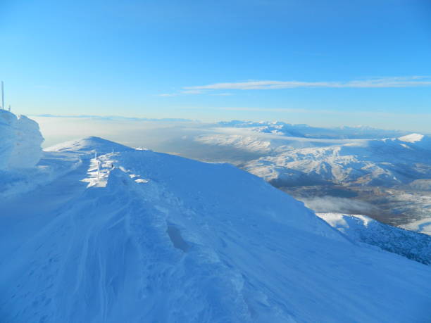 istock Snowy Mountain Wildlife 1134852989