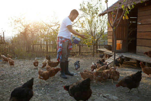 istock Family Life On The Organic Farm 1134852995