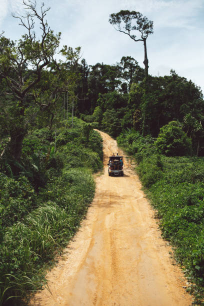 istock Dirt Road Amidst Trees Against Sky 1134861965