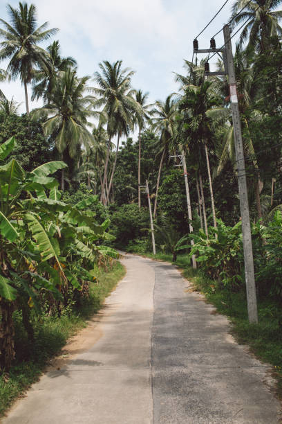 istock Road Amidst Trees Against Sky 1134861989