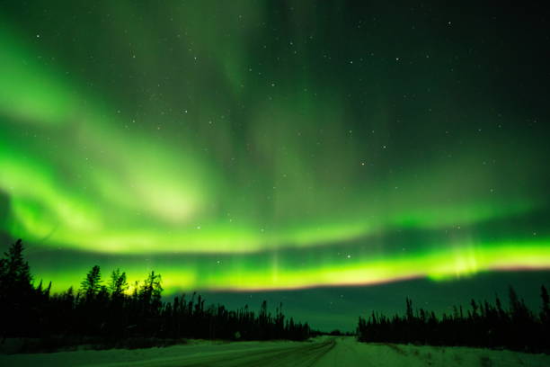 istock Northern lights (Aurora borealis) with starry sky above forest 1134862418