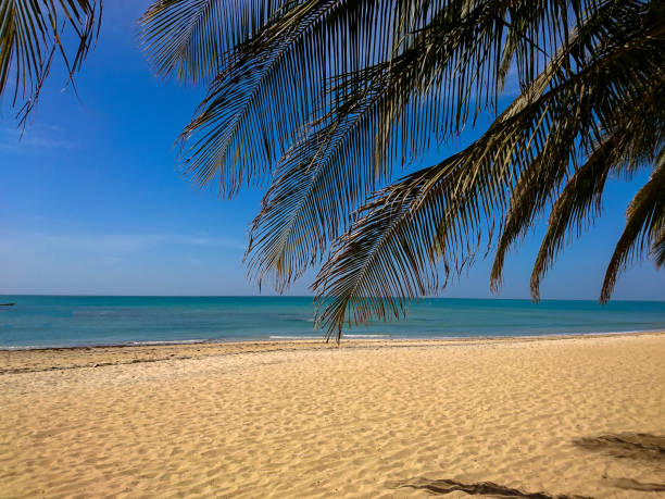 Senegal Beach paradisiacal beach of Senegal (Atlantic Ocean) senegal beach stock pictures, royalty-free photos & images