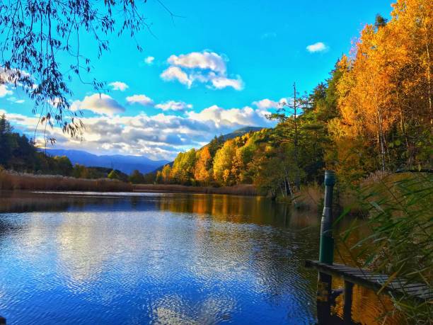 istock Varna lake Italian biotope 1134871875