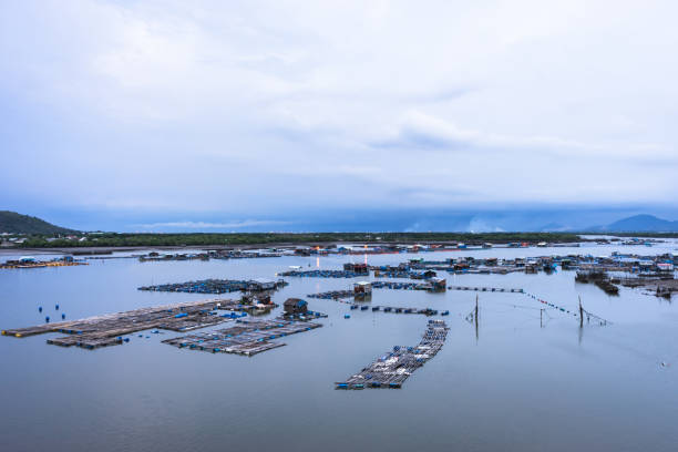 istock Sunset at seafood farm 1134872557