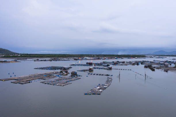 istock Sunset at seafood farm 1134872559