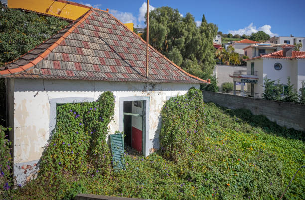 maison abandonnée dans une rue portugaise - madeira funchal house cottage photos et images de collection
