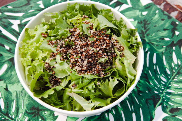 istock Healthy Summer Salad on a tropical background 1134874633