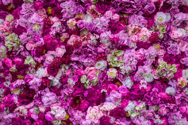 istock Background of flowers roses 1134878104