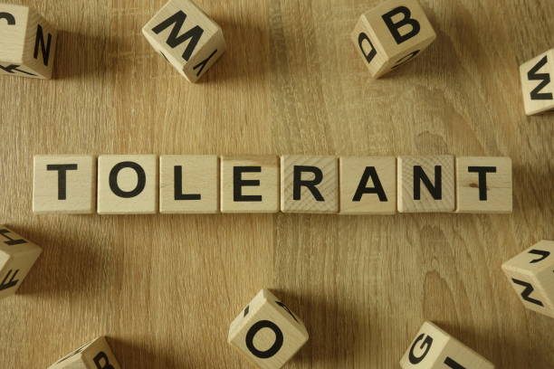 istock Tolerant word from wooden blocks 1134879477