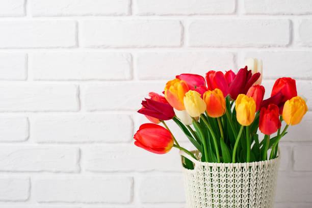 istock tulip flowers are in a basket on the table, white brick wall as background 1134880482