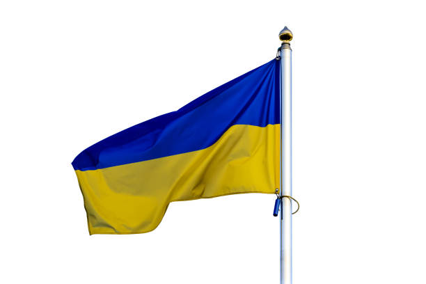 istock Flag of Ukraine isolated on white background 1134880899