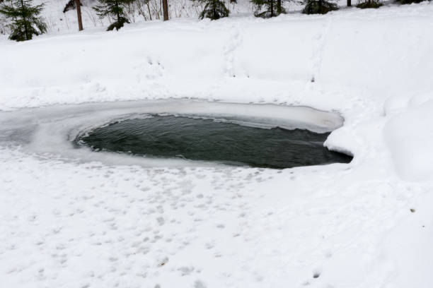 istock Frozen lake with snow,  winter time,  Romania landscape 1134881770