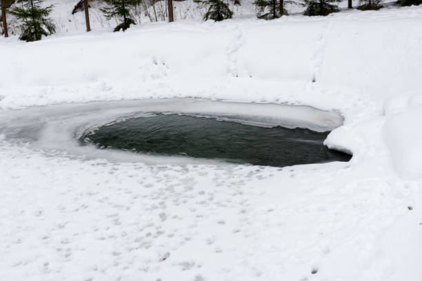 istock Frozen lake with snow,  winter time,  Romania landscape 1134881777