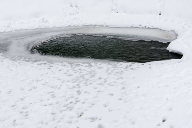 istock Frozen lake with snow,  winter time,  Romania landscape 1134881780
