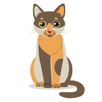 Ilustración de Lindo Color De Dibujos Animados Gato Sentado En Frente  Aislado Sobre Fondo Blanco y más Vectores Libres de Derechos de Gato  doméstico - iStock