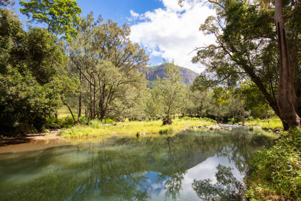 istock Forest Park Picnic Area QLD 1134888953