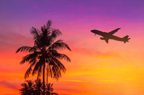 istock sunset on tropical beach with coconut palm trees during silhouette airplane flying take off over 1134889063