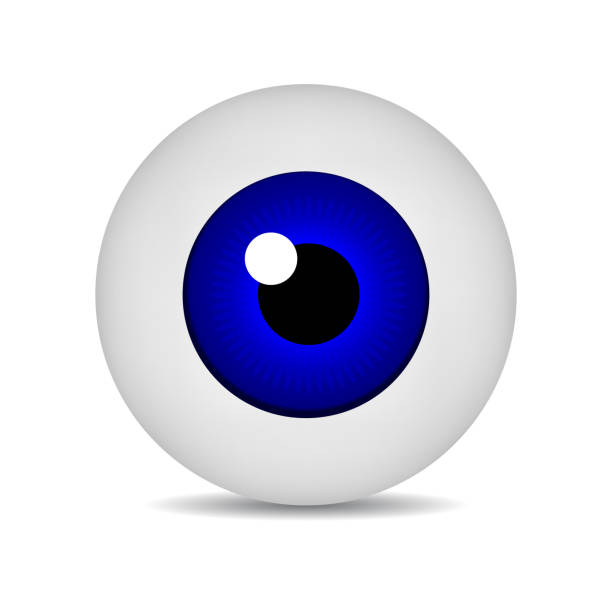 istock Realistic Vector Icon 3d Green Eyeball. Medical Concept. Green Eye isolated on white background. Vector Illustration for Your Design. 1134897132