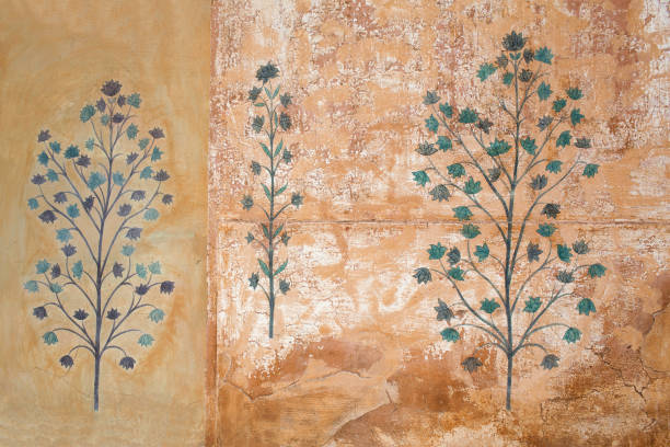 Vintage texture of ancient wall in Amber Fort, Jaipur, India Beautiful vintage texture of an ancient wall in Amber Fort, Jaipur, Rajasthan, India mughal empire stock pictures, royalty-free photos & images