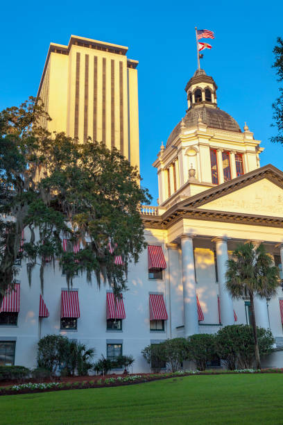 istock Under a clear blue early spring sky, rising above the oak trees, we see the Florida State Capital Buildings with the Historic Capital in the foreground and the high-rise Legislative offices behind it. 1134898328