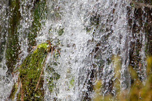 water flowing over a small waterfall plants and moss grow in the water attached to the rock