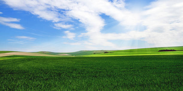istock beautiful landscape of green fields 1134903765