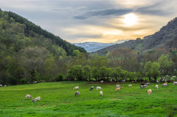 istock Sunset in the Cerdanya valley 1134904013