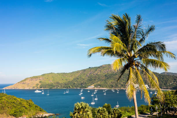 istock beauty coastline in Phuket 1134909064