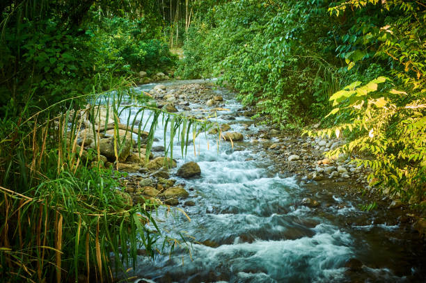 istock River near Lake Yojoa Honduras 1134909753