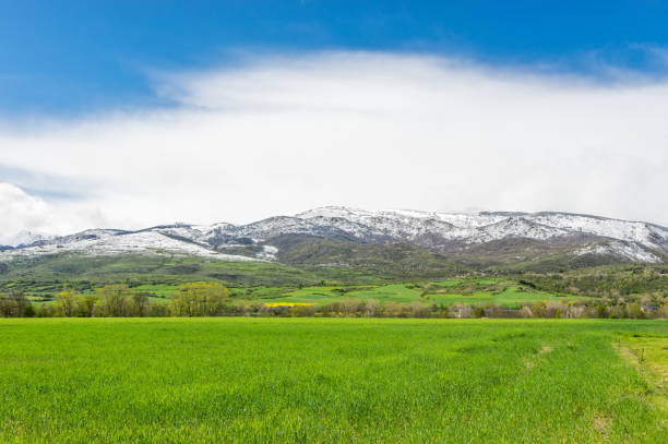 White cloud and the green field in Llivia, Girona, Spain llivia stock pictures, royalty-free photos & images