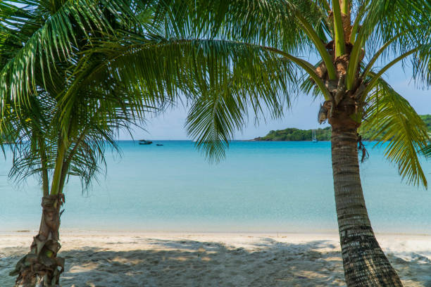 istock Palm trees, beautiful beaches on Koh Kood, Thailand 1134910446