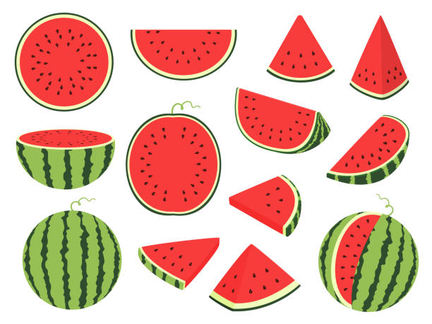 Cartoon slice watermelon. Green striped berry with red pulp and brown bones, cut and chopped fruit, half and sliced on white Cartoon slice watermelon. Green striped berry with red pulp and brown bones, cut and chopped fruit, half and sliced on white background melon stock illustrations