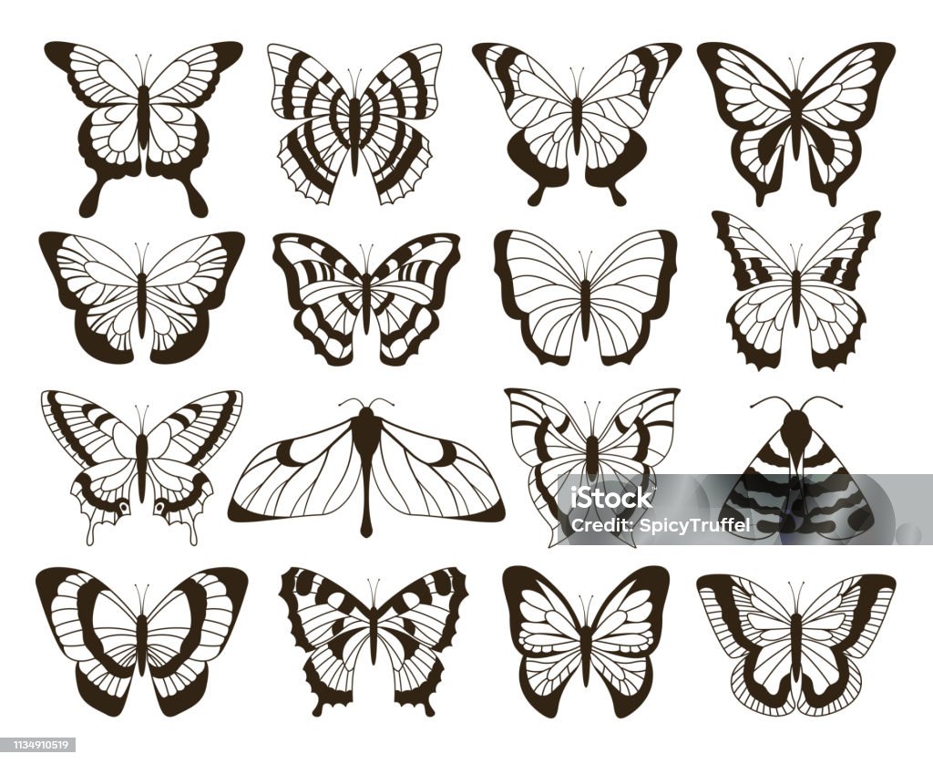 Monochrome butterflies. Black and white drawing, hand drawn tattoo shapes vintage collection. Vector butterfly isolated Monochrome butterflies. Black and white drawing, hand drawn tattoo shapes vintage collection. Vector butterfly isolated set Butterfly - Insect stock vector