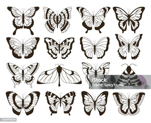 Monochrome Butterflies Black And White Drawing Hand Drawn Tattoo Shapes Vintage Collection Vector Butterfly Isolated Stock Illustration - Download Image Now