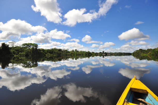 Amazonas River Amazon River rio negro brazil stock pictures, royalty-free photos & images