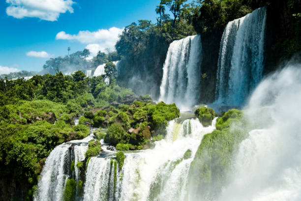 istock Power of Nature 1134913837