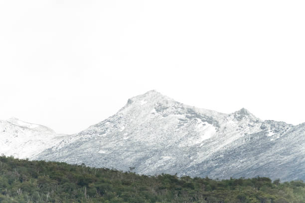 View of the wilderness landscape at the Bahia Lapataia fjord in the extreme south of Argentina at the Tierra Del Fuego National Territory in Ushuaia - Argentina