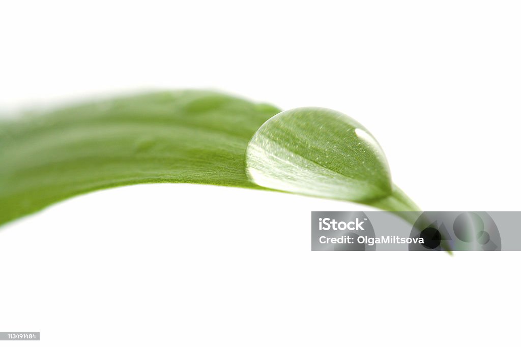 Gota de agua sobre una hoja - Foto de stock de Agua libre de derechos