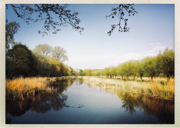 istock Little river in the park 1134918446