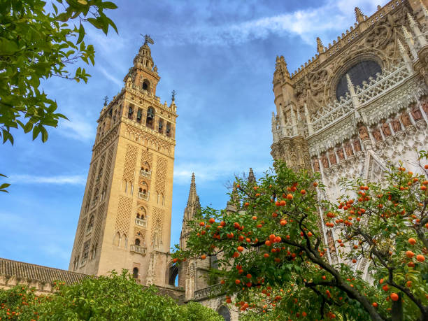 katedra w sewilli i giralda, andaluzja, hiszpania - ornamental garden cathedral church formal garden zdjęcia i obrazy z banku zdjęć