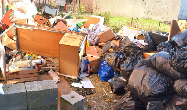 istock Garbage dump in the backyard of the house. 1134921236