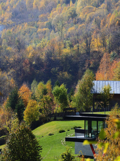 istock Typical autumn colours in Romania 1134923760