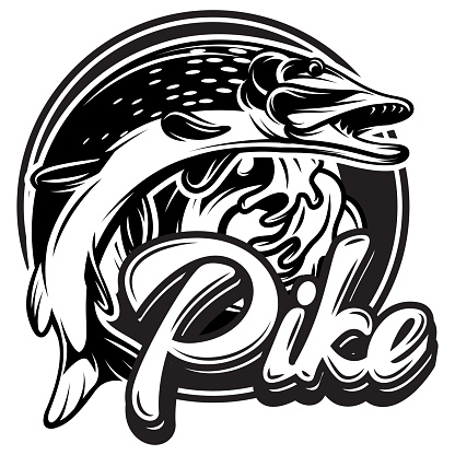 Monochrome vector illustration with pike and calligraphy lettering.