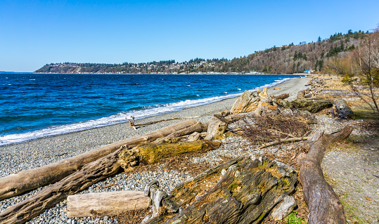 A view of the shoreline at Seahurst Beach Park in Burien, Washington.