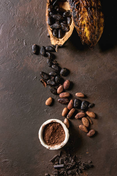 istock Variety of cocoa beans 1134928273