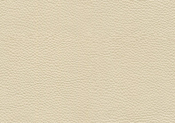 완벽 한 가죽 질감 - textured textured effect hide leather 뉴스 사진 이미지