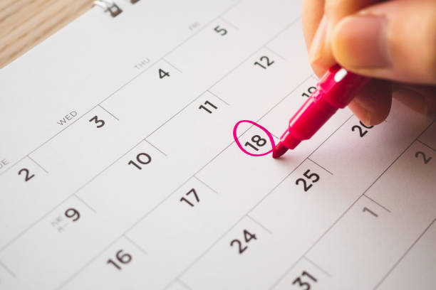 istock Female Hand with pen mark on calendar date 1134928713