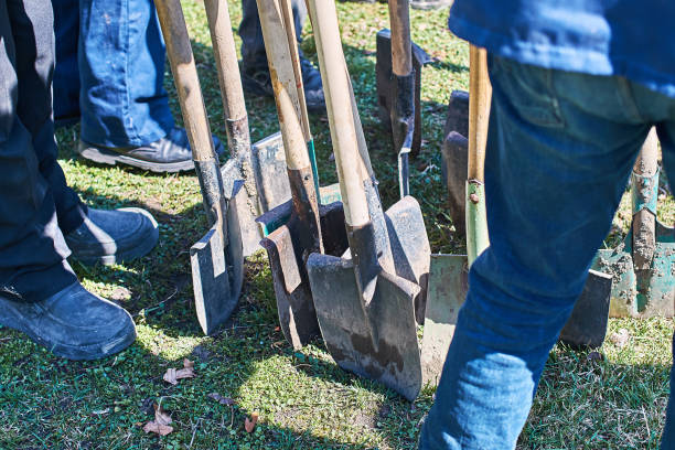 Team of workers ready to start planting trees with their shovels on a sunny spring day